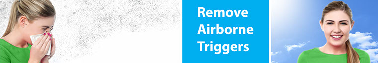 Air Purifiers for Asthma and Allergies